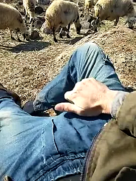 Snapshot of murokkk31 chatting on February 18, 2025, 7:21 am murokkk31 online show from February 18, 2025, 7:21 am