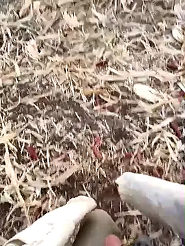 Snapshot of murokkk31 chatting on September 15, 2025, 2:56 am murokkk31 online show from September 15, 2025, 2:56 am