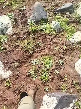 murokkk31 online show from March 30, 2026, 7:10 am