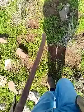 murokkk31 online show from April 5, 2026, 6:42 am