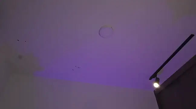 appolo allen online show from March 17, 2025, 7:24 am