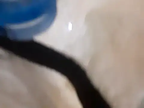 Snapshot of pedrodavid_ chatting on March 14, 2025, 12:10 am pedrodavid  online show from March 14, 2025, 12:10 am