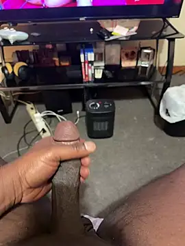 Cameltoekilla online show from February 13, 2026, 9:53 am