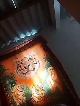 AlexaWarner online show from November 12, 2025, 4:11 pm