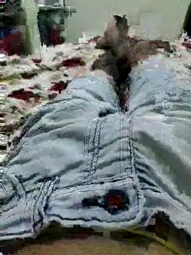 Snapshot of thegoodboy6060 chatting on September 9, 2025, 9:19 am thegoodboy6060 online show from September 9, 2025, 9:19 am