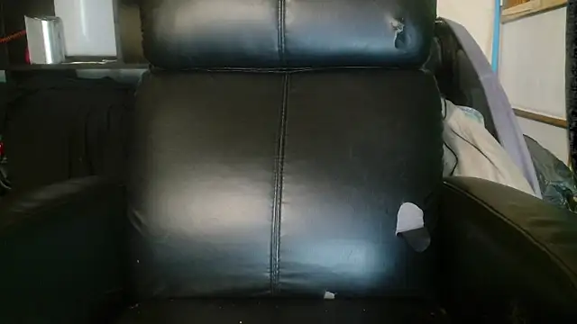 Snapshot of Gigadickman chatting on January 2, 2025, 6:56 pm Gigadickman online show from January 2, 2025, 6:56 pm