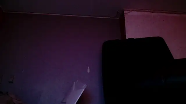 Snapshot of Gigadickman chatting on December 15, 2024, 9:42 pm Gigadickman online show from December 15, 2024, 9:42 pm