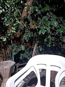 Sweet-diamondxxx online show from November 15, 2025, 2:15 am