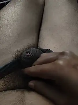 biharihotlund online show from February 7, 2026, 5:48 am