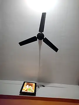 HandsomeHunky1 online show from November 29, 2025, 4:29 pm