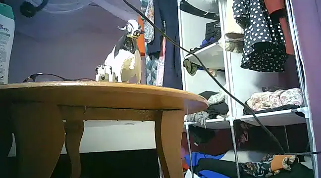 Snapshot of Queenxqu chatting on March 5, 2025, 11:38 am Queenxqu online show from March 5, 2025, 11:38 am