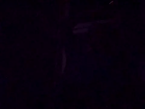 DrbigdickUK online show from September 28, 2025, 8:27 pm