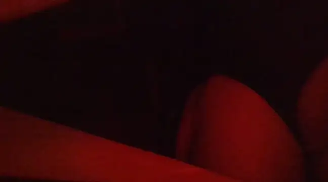 le0wz online show from December 30, 2024, 3:03 am