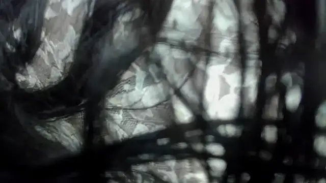 Najayla adams1 online show from January 6, 2026, 12:09 pm