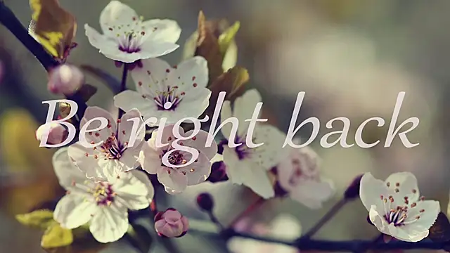 1lindsey1 online show from April 15, 2026, 8:53 am