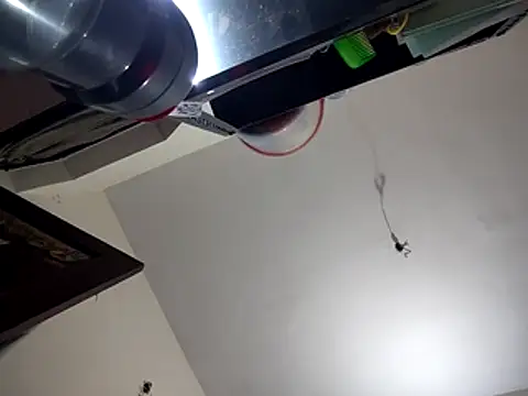 Snapshot of bigvorn6 chatting on March 29, 2026, 6:26 am bigvorn6 online show from March 29, 2026, 6:26 am