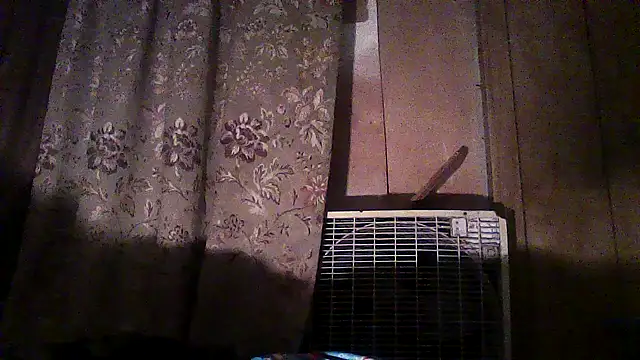 luke thighwalker2469 online show from December 2, 2025, 2:45 am