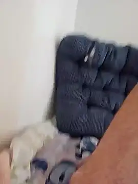 Snapshot of jorwee chatting on December 3, 2024, 2:33 pm jorwee online show from December 3, 2024, 2:33 pm