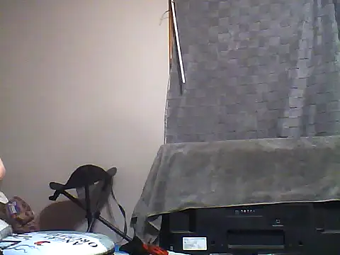 Snapshot of SmokingSloth chatting on December 5, 2025, 12:26 pm SmokingSloth online show from December 5, 2025, 12:26 pm