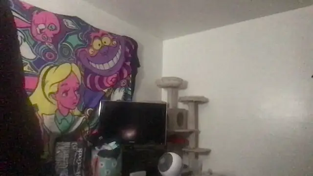 SpunCandy online show from May 27, 2026, 8:49 pm