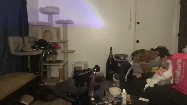 SpunCandy online show from March 21, 2026, 10:24 pm