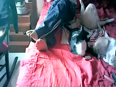 Snapshot of 2mgars chatting on September 22, 2025, 8:48 pm 2mgars online show from September 22, 2025, 8:48 pm