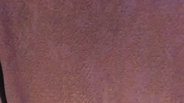 Snapshot of pink_lia2 chatting on December 17, 2024, 12:11 pm pink lia2 online show from December 17, 2024, 12:11 pm