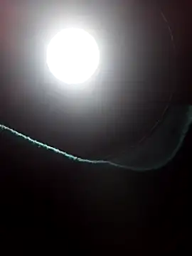 dangerman94 online show from March 22, 2026, 6:15 am