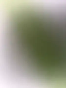 Snapshot of mrwright878787 chatting on December 27, 2024, 7:14 pm mrwright878787 online show from December 27, 2024, 7:14 pm