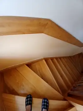 paradise777777 online show from November 23, 2025, 9:08 am