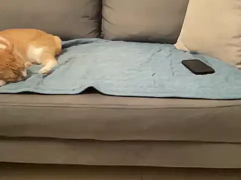 4small4inchlol online show from November 14, 2025, 3:59 pm