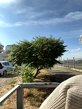 SandraCarter online show from September 18, 2025, 6:05 am