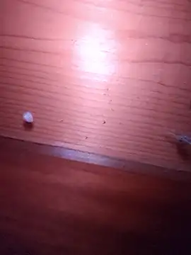 Snapshot of brbrrbrbrb chatting on February 24, 2026, 2:51 pm brbrrbrbrb online show from February 24, 2026, 2:51 pm