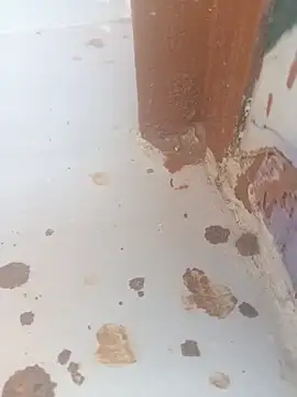 Snapshot of Simran-Simran chatting on March 18, 2025, 12:39 pm Simran-Simran online show from March 18, 2025, 12:39 pm