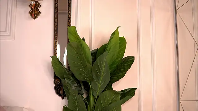 AvaShayy online show from March 4, 2026, 8:38 pm