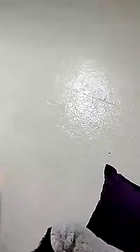Snapshot of Kami-liya chatting on December 17, 2024, 11:16 pm Kami-liya online show from December 17, 2024, 11:16 pm