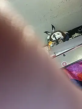 Snapshot of gettinit2wice chatting on March 11, 2026, 2:00 pm gettinit2wice online show from March 11, 2026, 2:00 pm