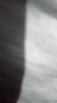 Snapshot of jaxyboys chatting on January 15, 2025, 4:11 pm jaxyboys online show from January 15, 2025, 4:11 pm