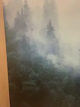 Snapshot of ladoucedu34 chatting on February 11, 2026, 3:34 pm ladoucedu34 online show from February 11, 2026, 3:34 pm