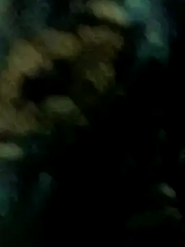 whvysky3 online show from December 21, 2025, 6:31 pm