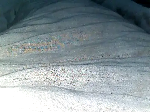 Snapshot of iaparna chatting on January 8, 2025, 3:07 pm iaparna online show from January 8, 2025, 3:07 pm