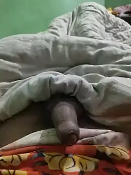 Snapshot of iaparna chatting on December 24, 2024, 5:13 pm iaparna online show from December 24, 2024, 5:13 pm