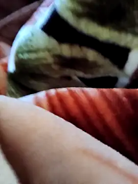 yhona darling online show from December 19, 2025, 5:32 am