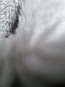 hungarian dick online show from January 31, 2025, 9:37 am