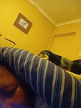 bustybillies online show from June 28, 2026, 2:07 am
