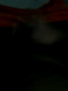 Snapshot of lm279 chatting on October 25, 2025, 6:08 pm lm279 online show from October 25, 2025, 6:08 pm