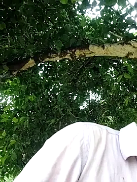 Ishan003 online show from August 8, 2026, 3:35 am