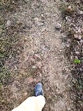 Snapshot of Ishan003 chatting on February 5, 2026, 1:34 am Ishan003 online show from February 5, 2026, 1:34 am