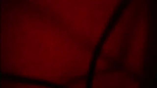 Snapshot of Nathaly_love96 chatting on September 12, 2025, 6:07 pm Nathaly love96 online show from September 12, 2025, 6:07 pm