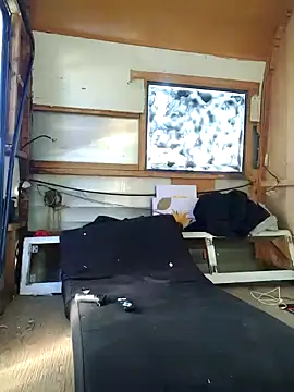 ed44435 online show from November 10, 2025, 4:23 pm